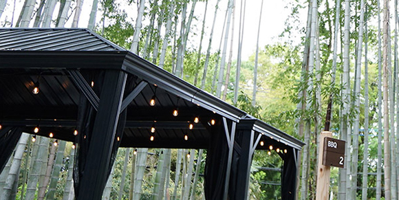 佐倉市臼井Saunacamp　かぐやの森